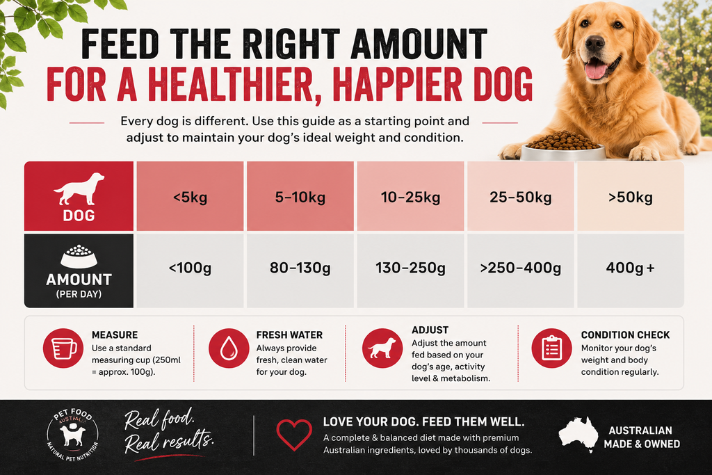 Kangaroo and Ocean Fish Dry Dog Food source image 11