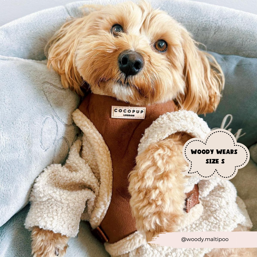 Adjustable Neck Dog Harness, Brown Faux Suede Walking Vest with Soft Fluffy Trim in XXS to Large Sizes source image 11