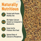 Dried Insect Poultry Feed, Mealworm and BSFL Foraging Supplement in Four Bulk Sizes for Chickens and Ducks source image 11