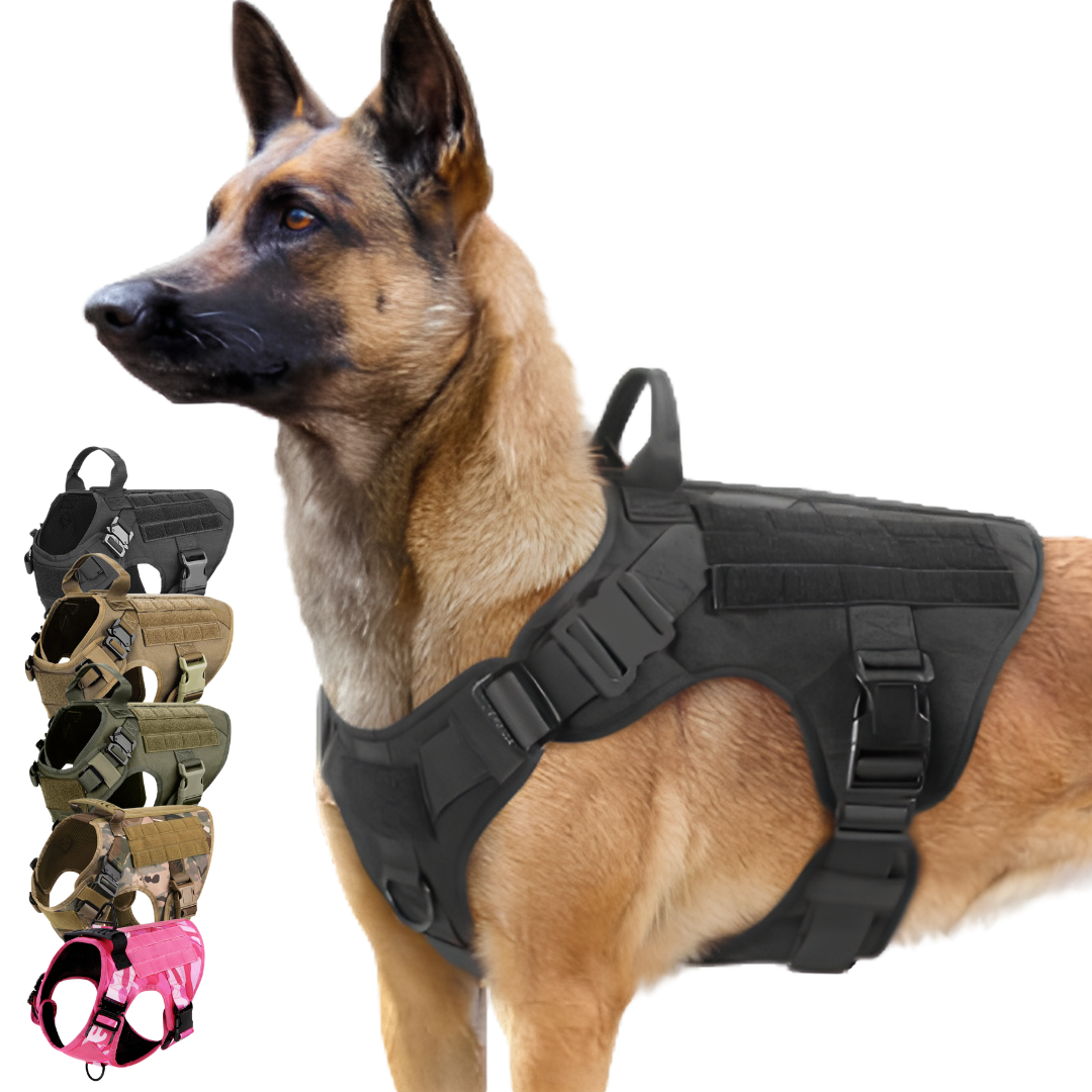 Heavy-Duty Tactical No-Pull Dog Harness with Dual D-Ring Control and Quick-Release Metal Buckles product image 11