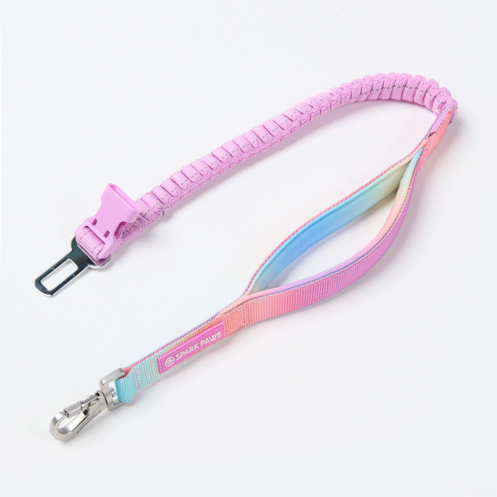Hands-Free Dog Leash and Waste Bag Holder Set, Bungee Control and Dual Handles for Everyday Walks source image 11