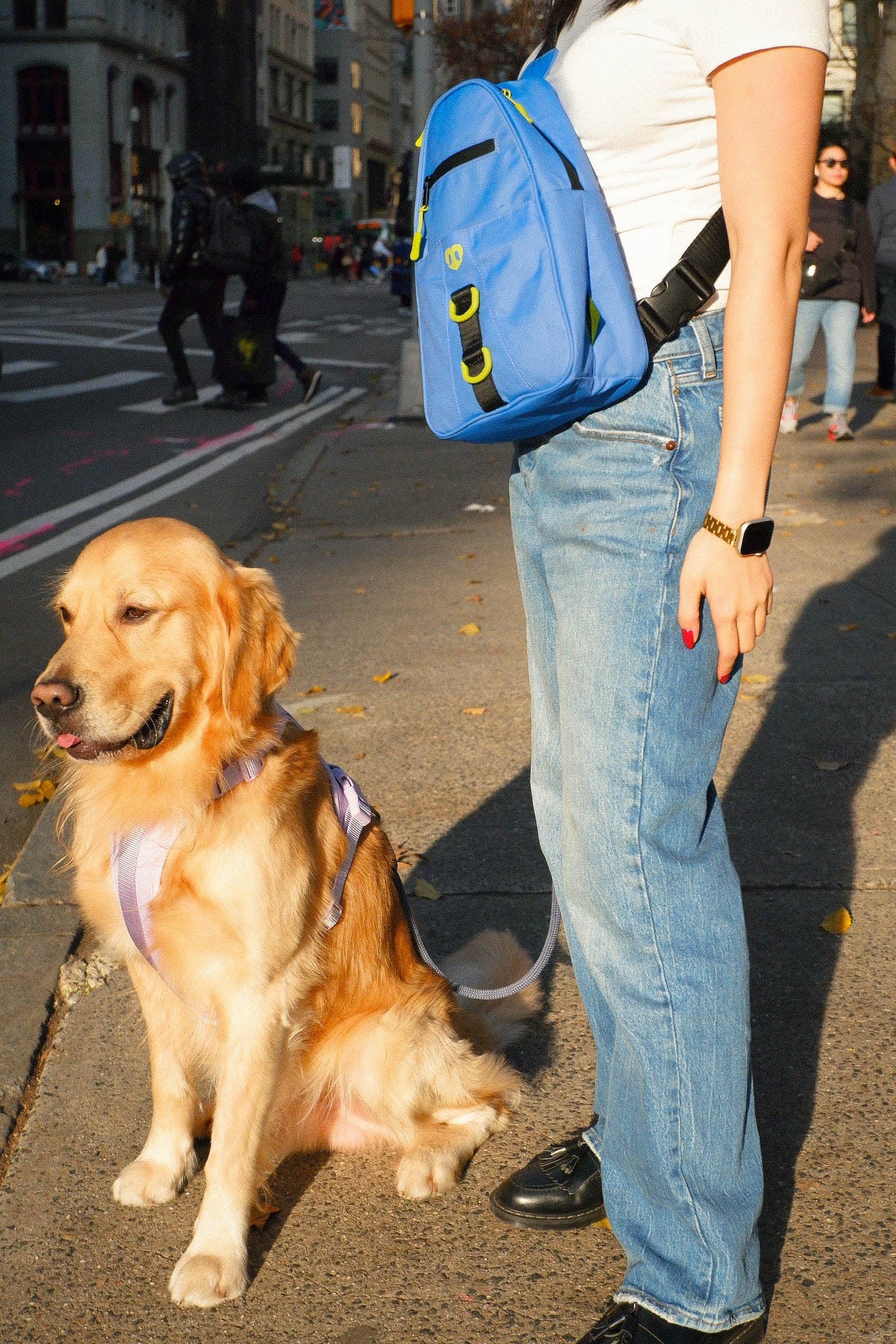 Waterproof Dog Walking Shoulder Bag, Organized Treat and Waste Storage for Training and Daily Outings source image 11