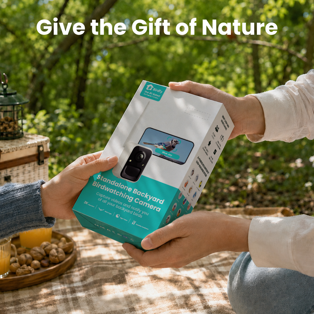 Smart 2K Birdwatching Camera, Wide-Angle Feeder Companion with Bendable Mount for App-Connected Viewing source image 11