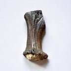 Moose Antler Base Dog Chew for Extreme Power Chewers, Dense Single-Piece Treat in Three Weight-Based Sizes source image 11