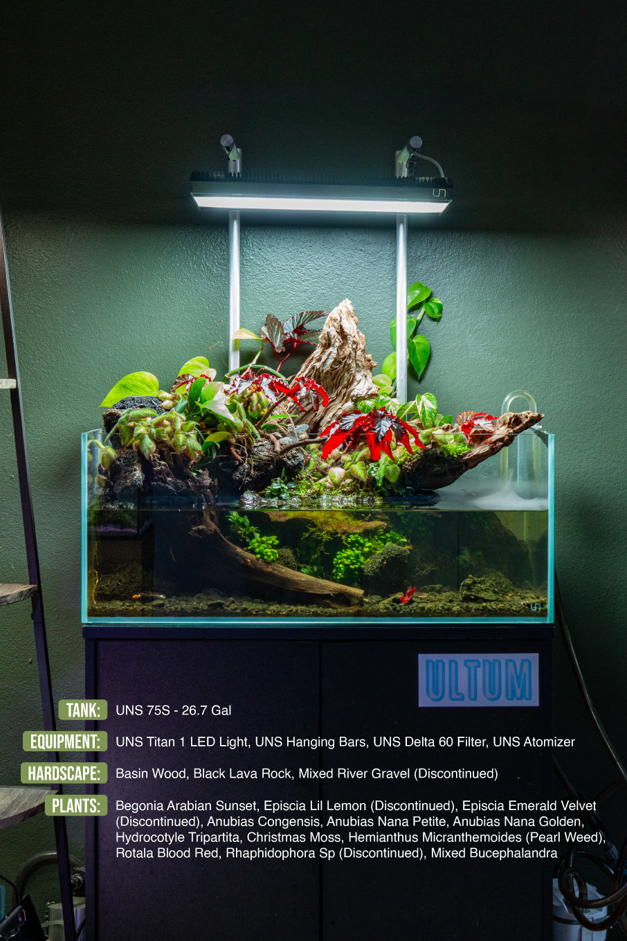 External Aquarium Canister Filter, High-Flow Quiet System Including Adjustable Lily Pipes and Filter Media source image 11