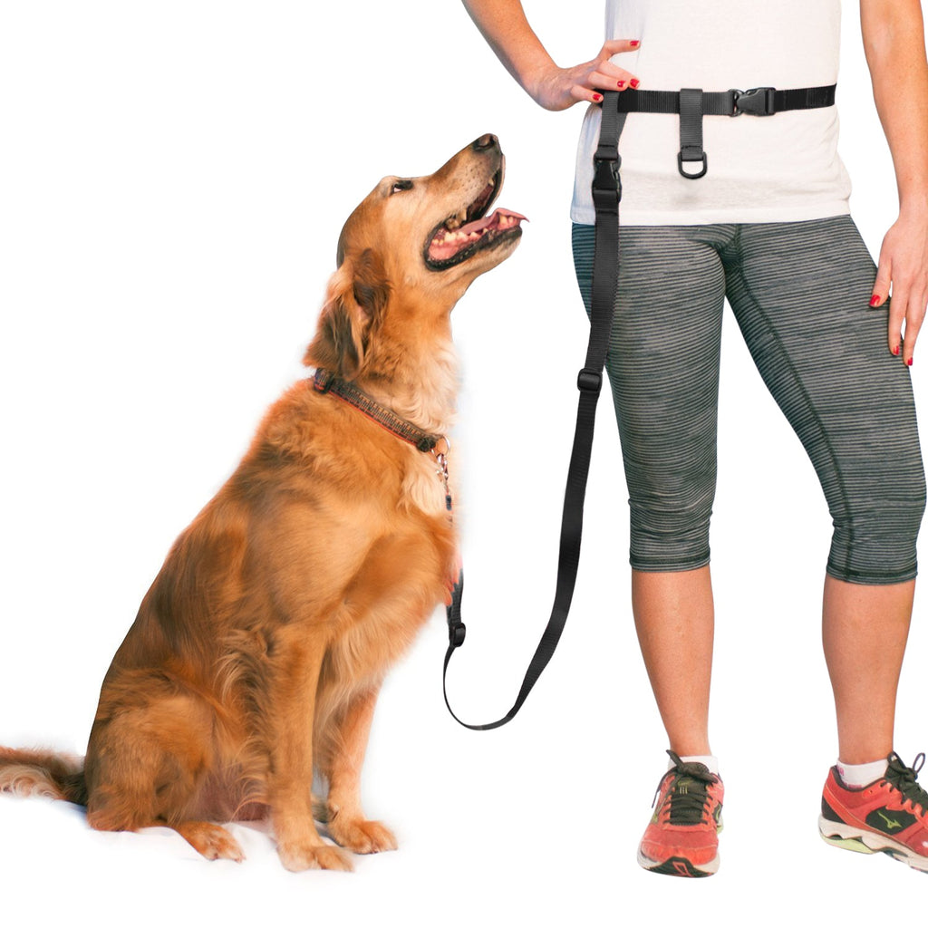 Hands-Free Waist Dog Leash for Walking and Running, Adjustable Length and Quick-Release Hardware source image 11