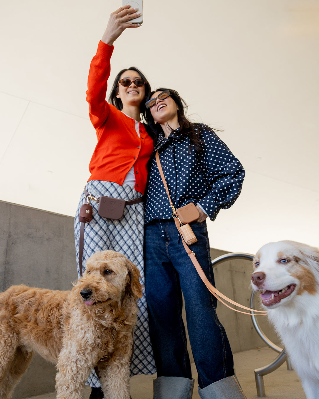 Hands-Free Dog Leash in Espresso Brown, Four Convertible Carry Modes in Standard and Wide Widths source image 11
