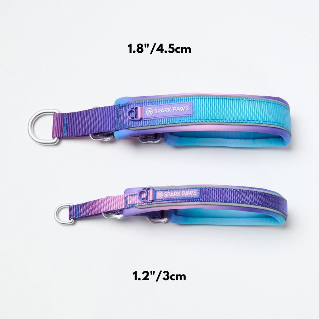 Cushioned Martingale Dog Collar for Gentle Leash Guidance, Limited-Cinch Design in Five Sizes source image 11