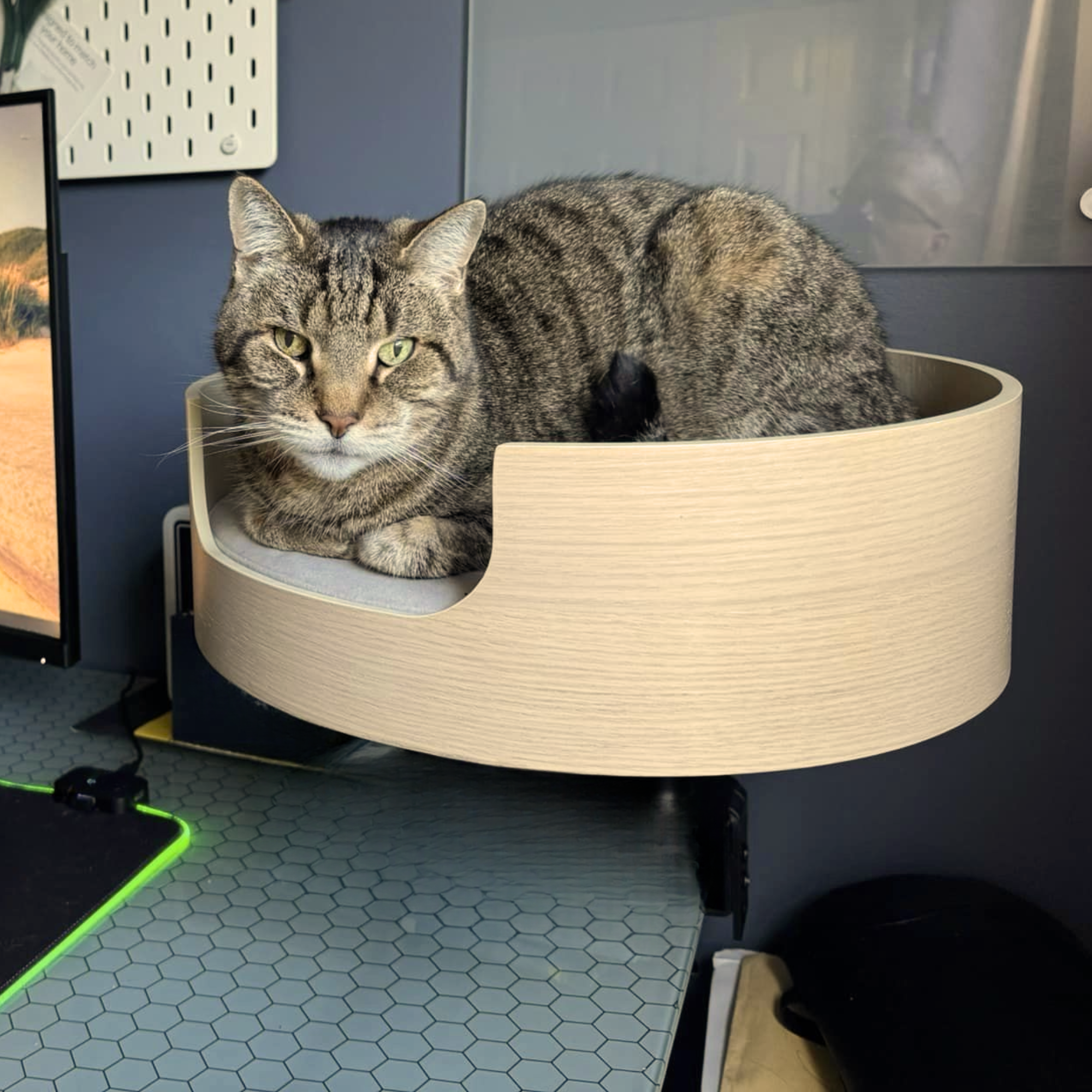 Desk-Mounted Cat Bed for Workspaces, Elevated Single or Double Nest in Walnut and White Oak Finishes source image 11