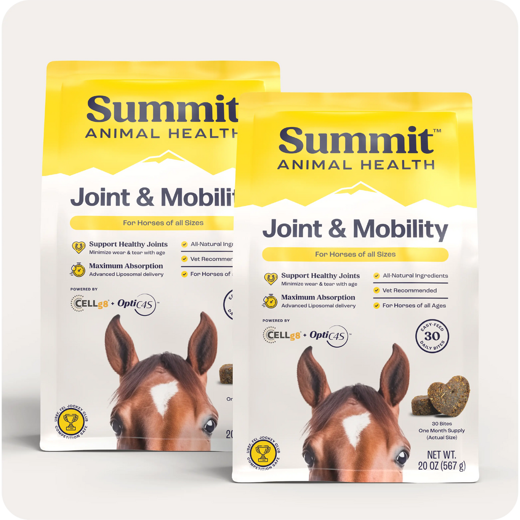 Horse Joint Mobility Supplement Bites for Daily Feed Support Using Liposomal Delivery Technology product image 11