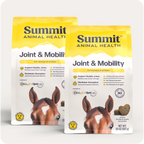 Horse Joint Mobility Supplement Bites for Daily Feed Support Using Liposomal Delivery Technology product image 11