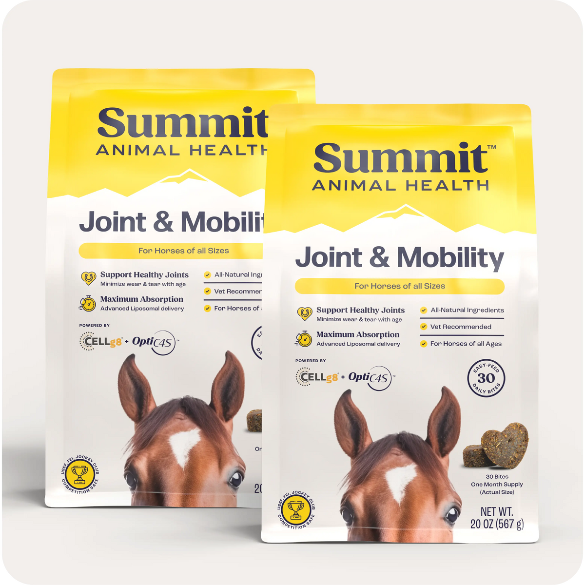 Horse Joint Mobility Supplement Bites for Daily Feed Support Using Liposomal Delivery Technology product image 11