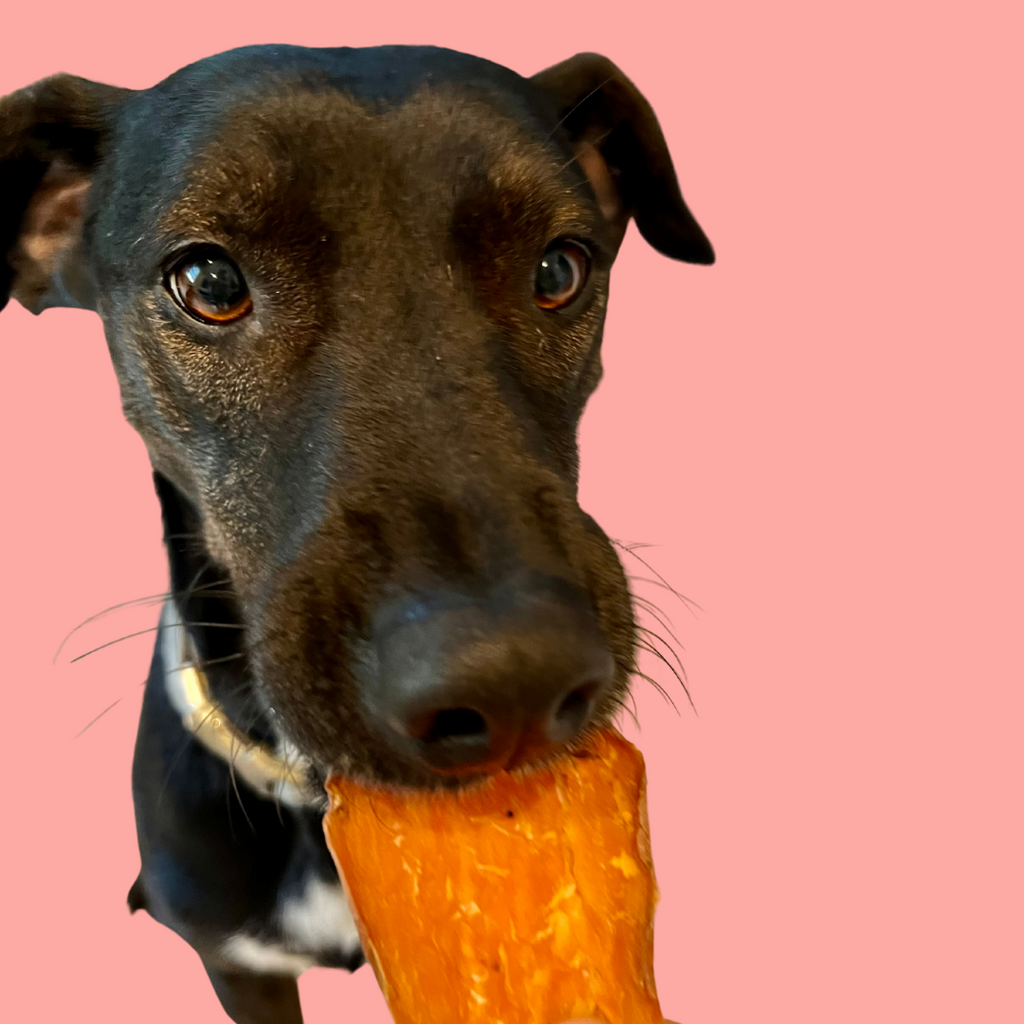 Sweet Potato Dog Jerky Made from Organic Air-Dried North Carolina Potatoes in 12 oz and Three Packs source image 11