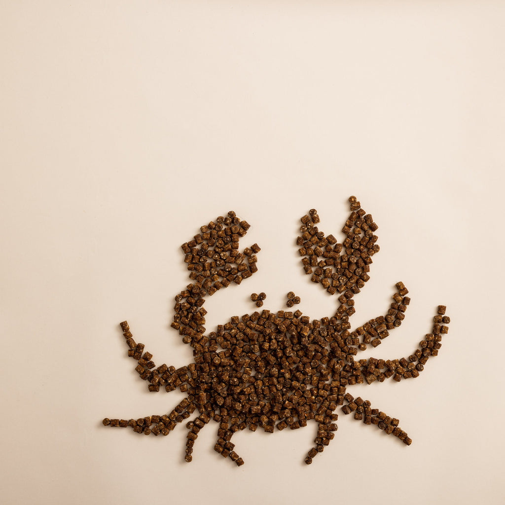 Green Crab and Kelp Dog Treats product image 8
