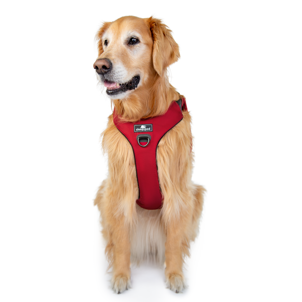 Crash-Tested Dog Car Safety Harness product image 11