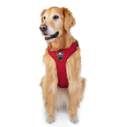 Crash-Tested Dog Car Safety Harness product image 11