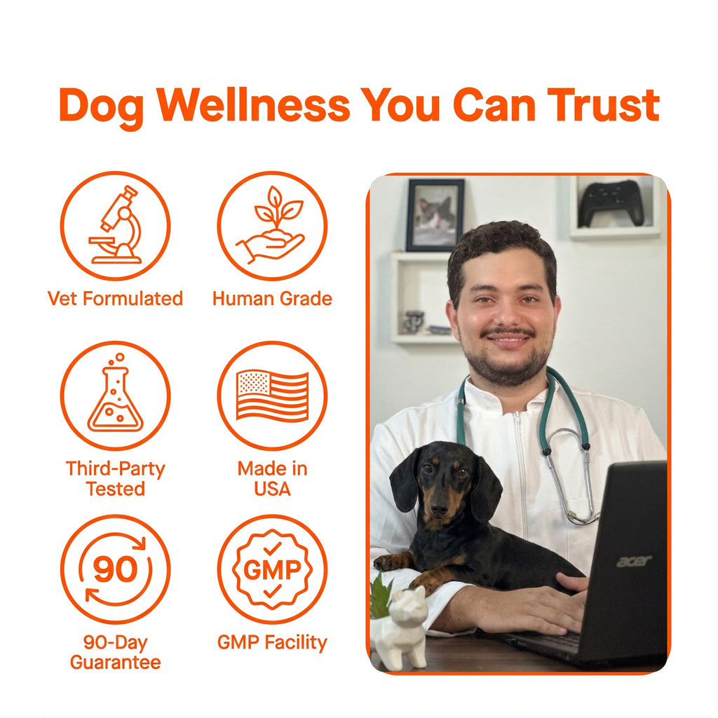 Liquid Dog Wellness Supplement product image 11