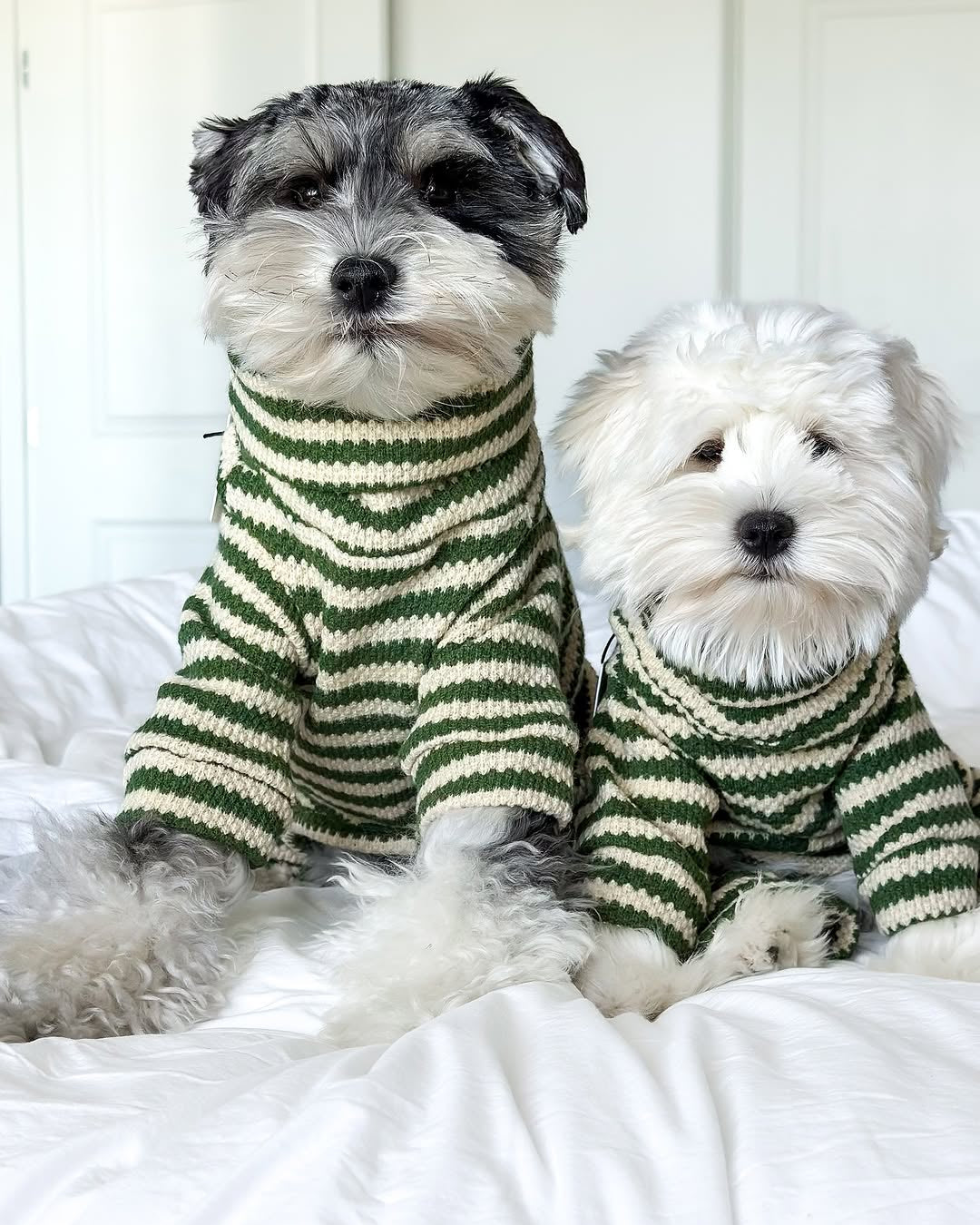 Striped Knit Dog Onesie product image 11