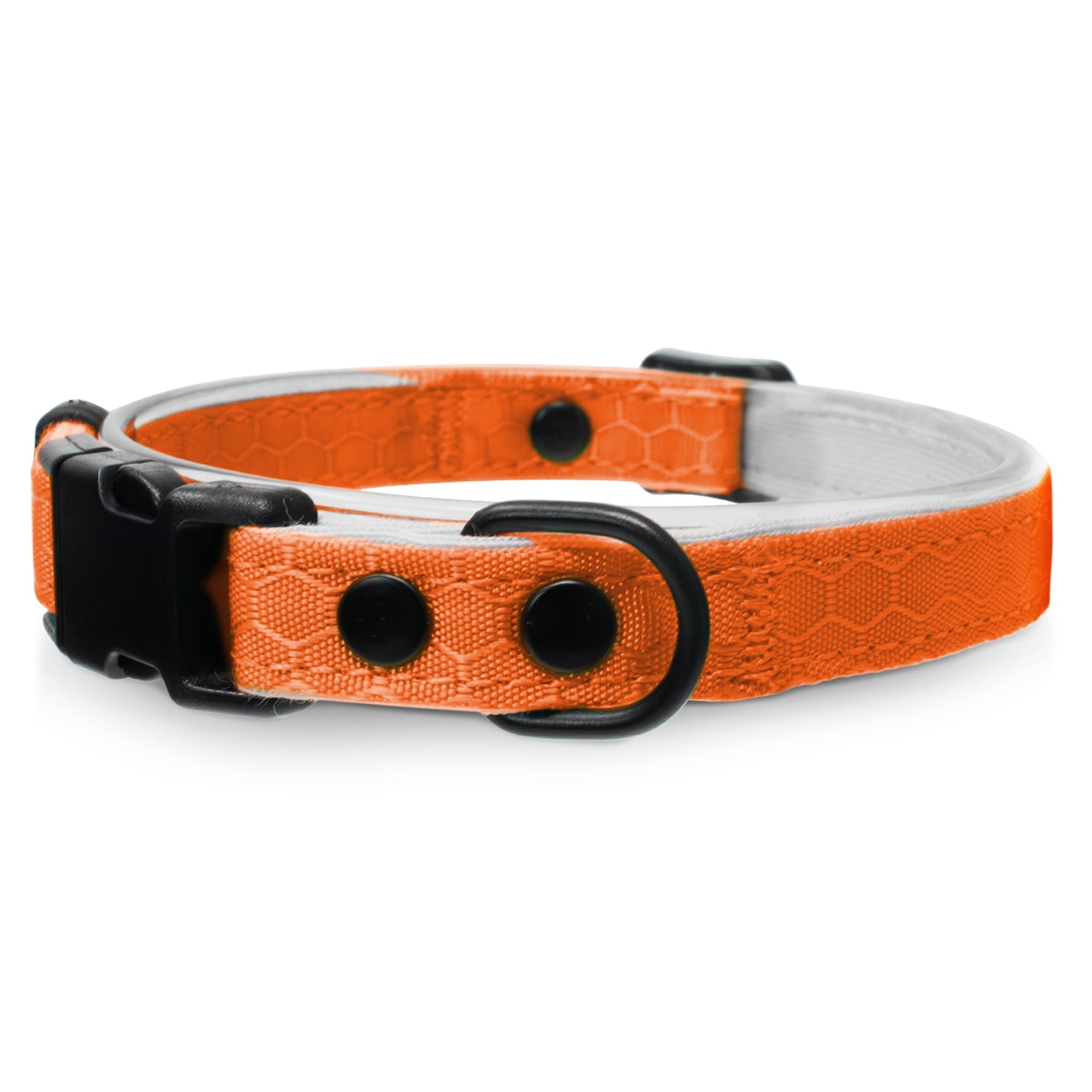Breakaway Cat Collar product image 11