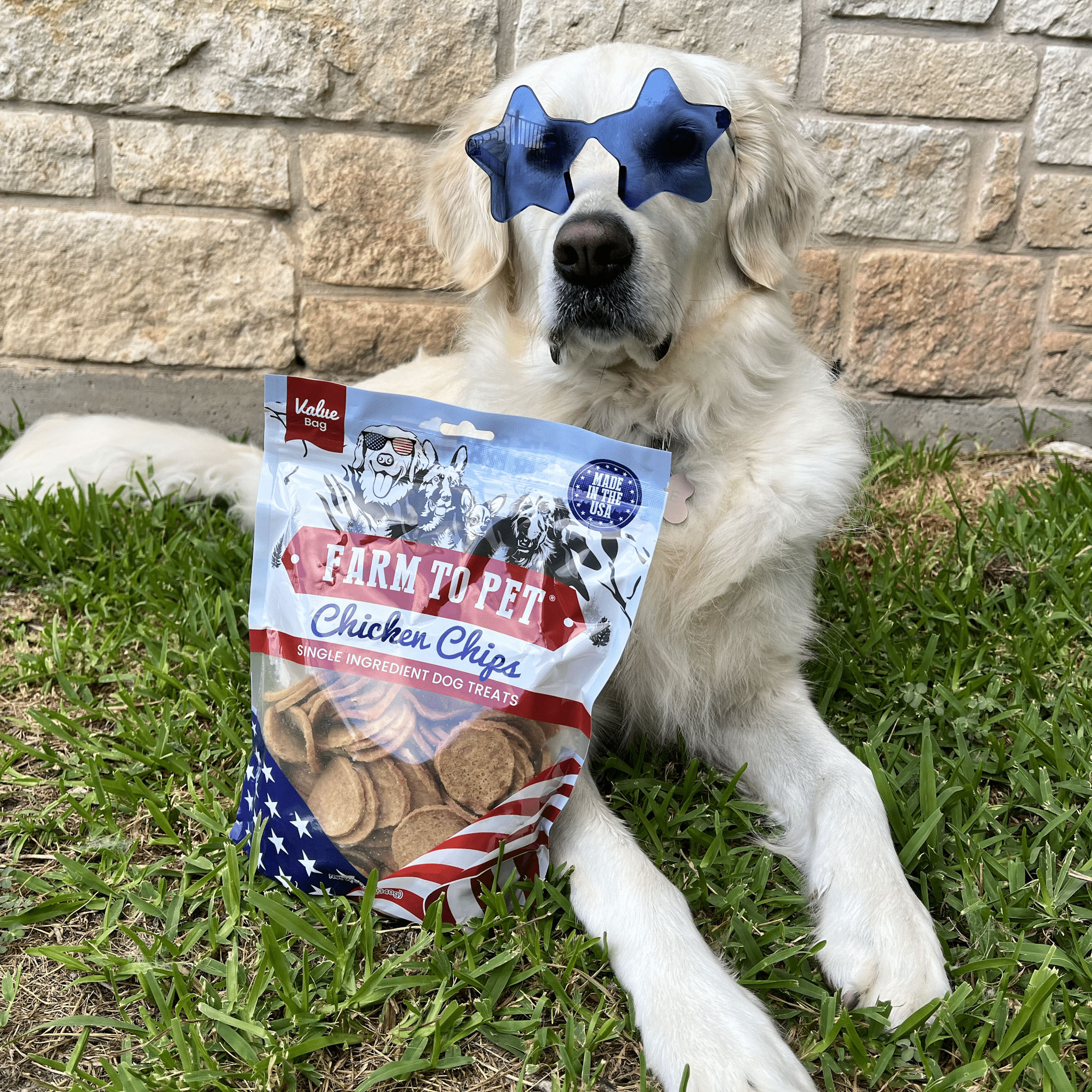 Chicken Chip Dog Treats product image 9