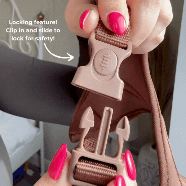 Adjustable No-Pull Dog Harness product image 11