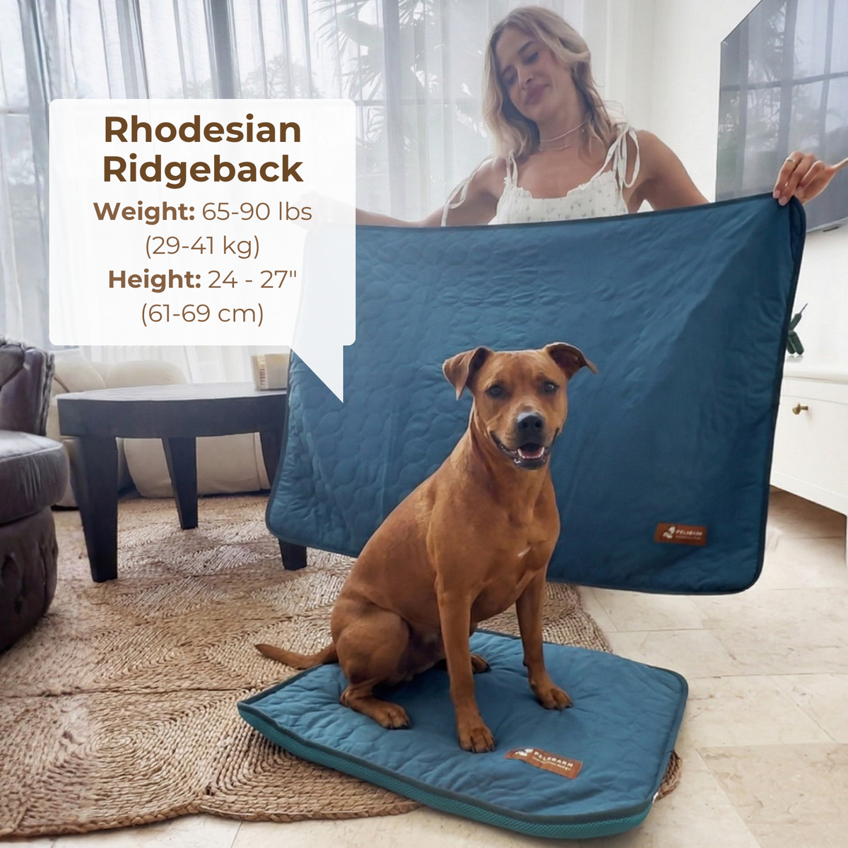 Dog Cooling Mat product image 11