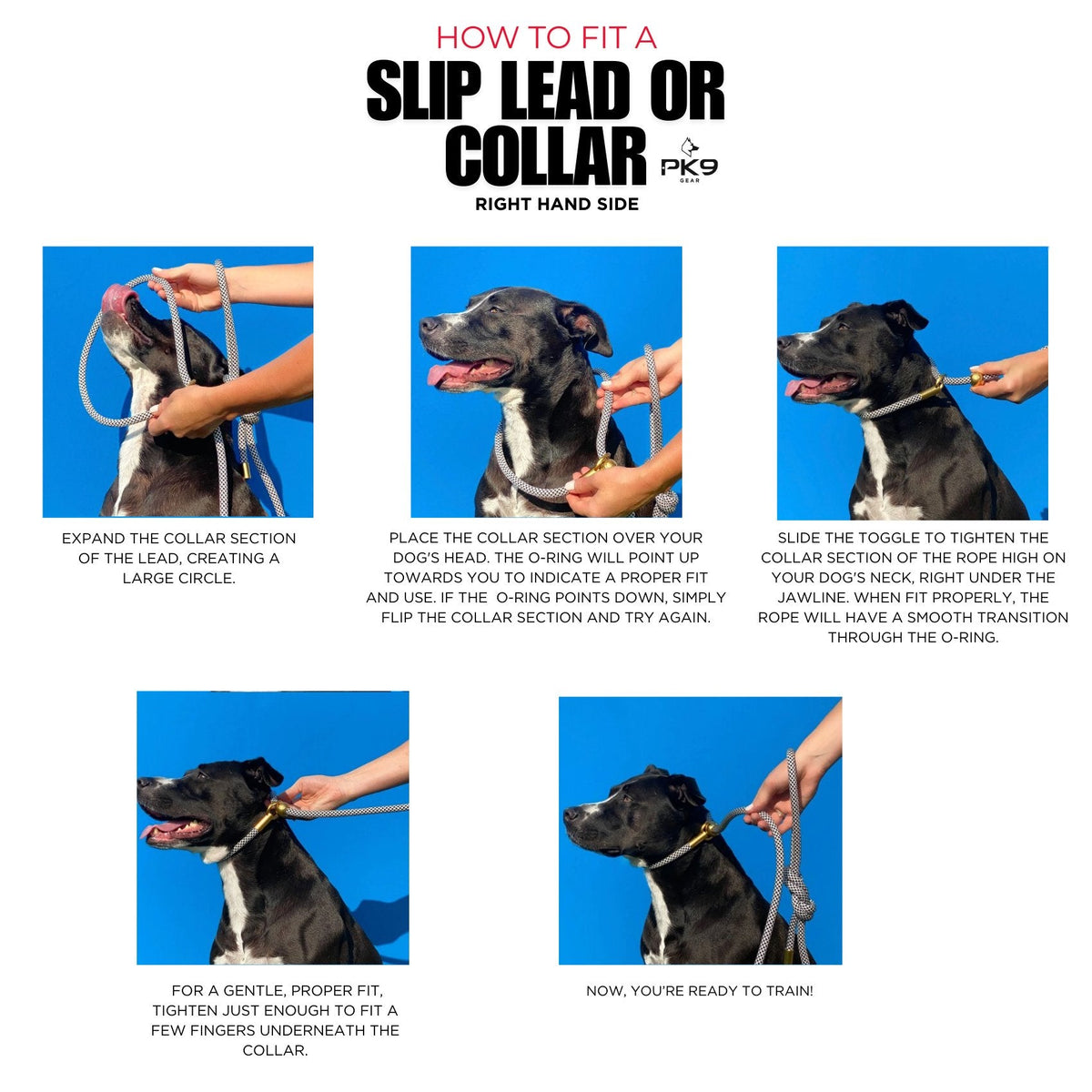Dog Slip Lead product image 11