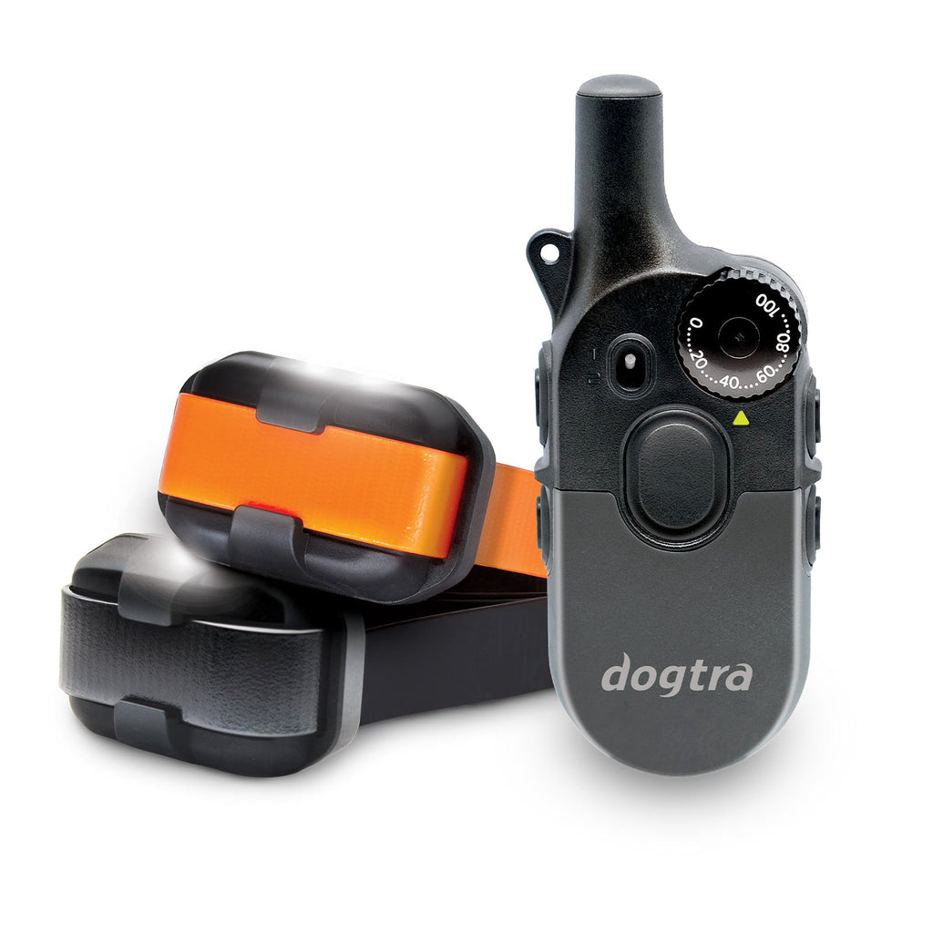 Dog Training Collar product image 11