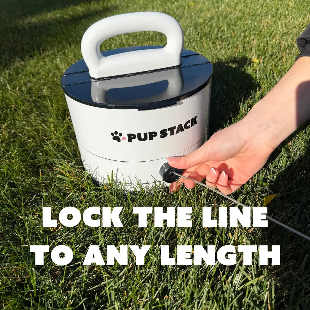 Dog Tie-Out Anchor product image 11
