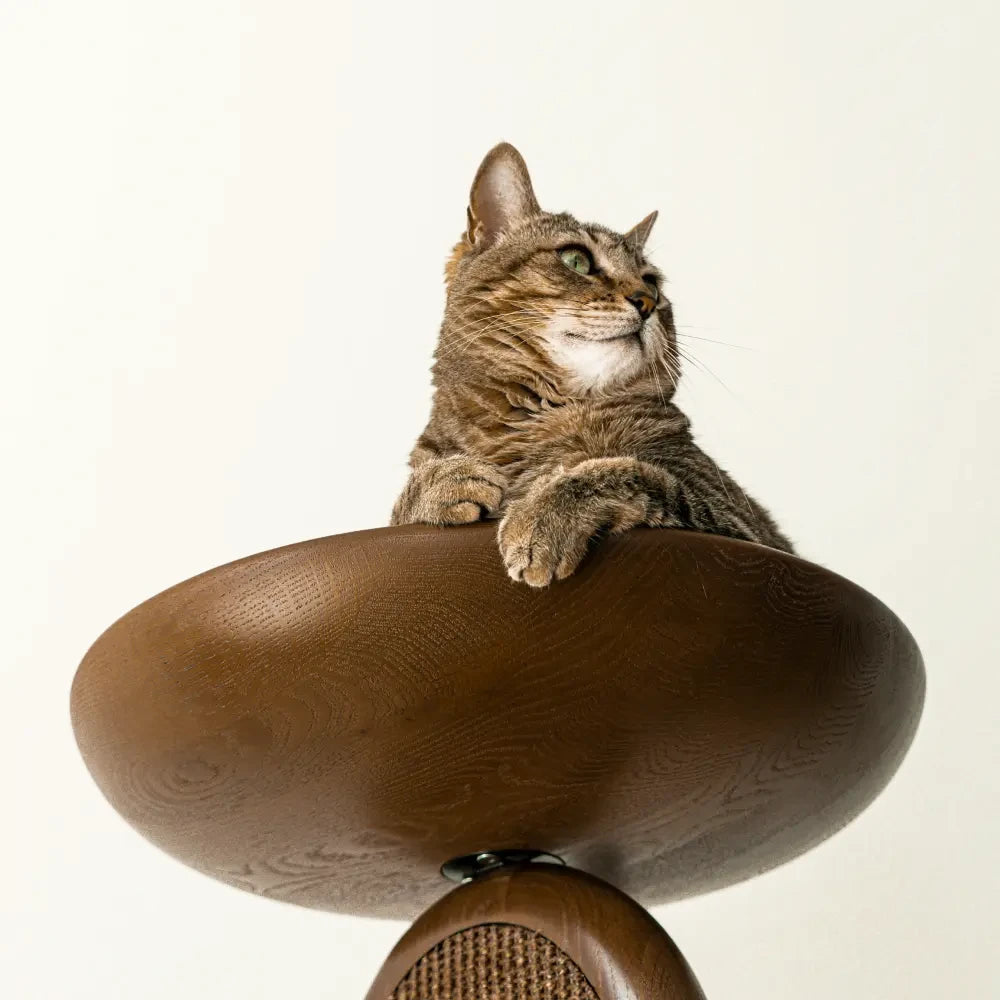 Cat Tree product image 11