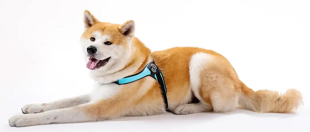 Dog Harness product image 11