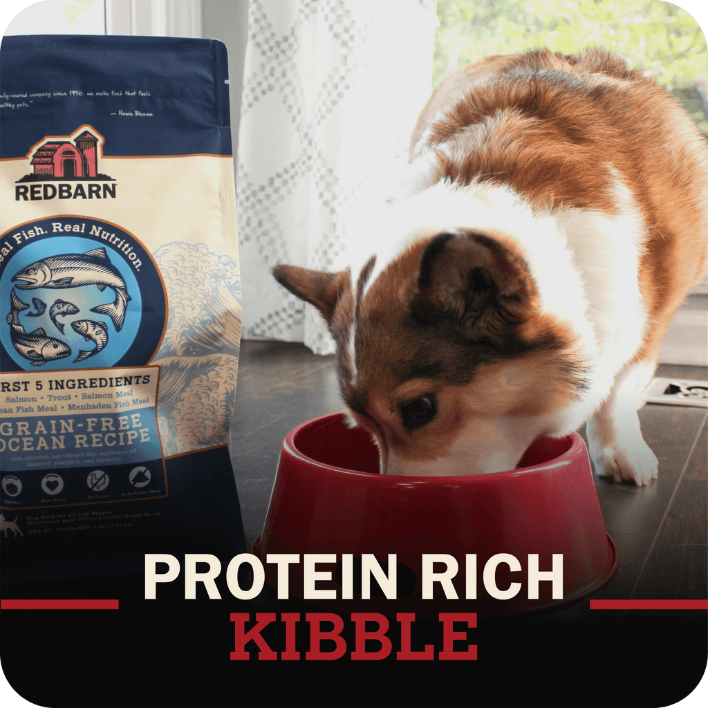 Grain-Free Beef and Lamb Dog Food product image 11