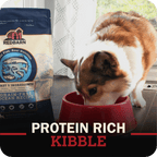 Grain-Free Beef and Lamb Dog Food product image 11
