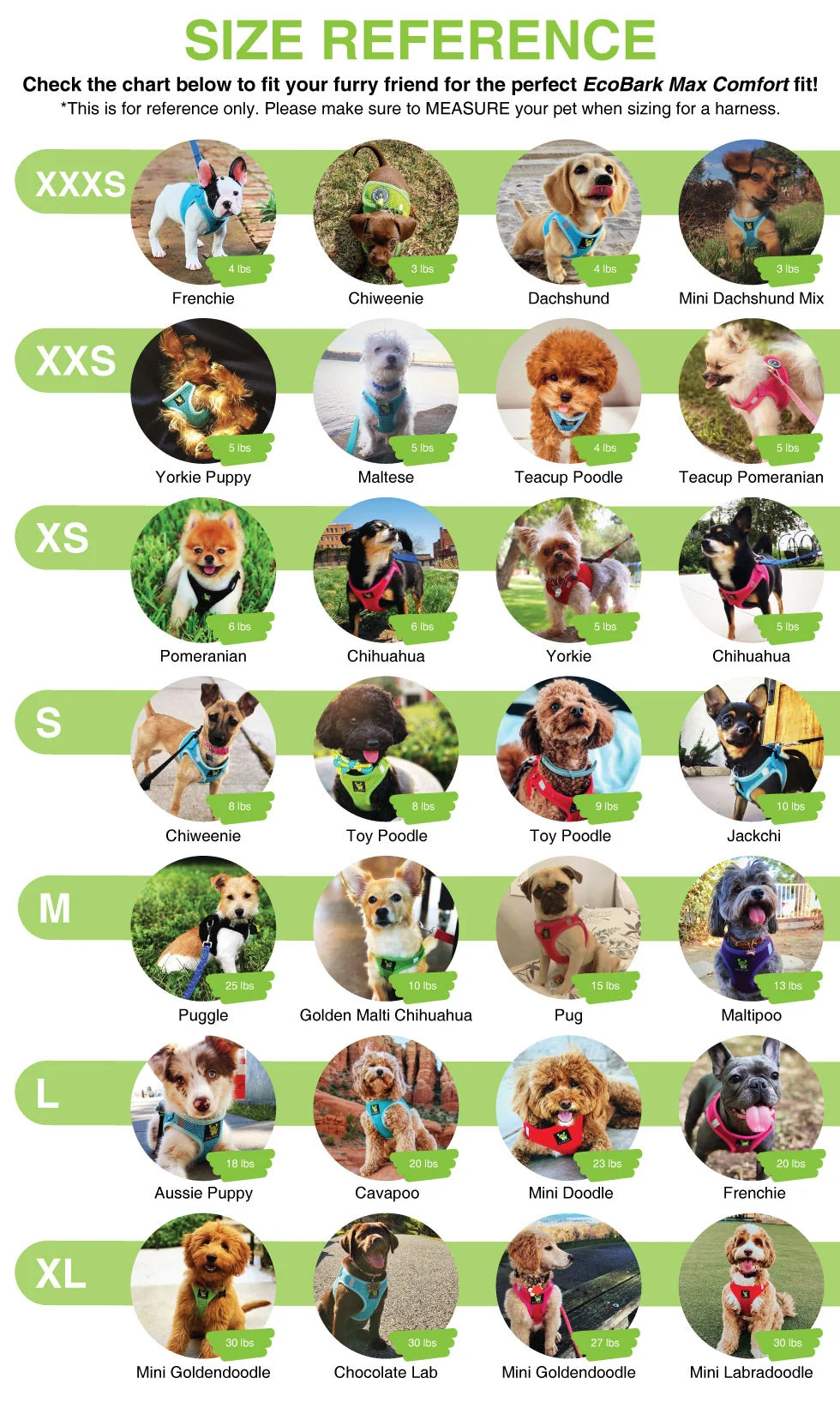 Step-In Dog Harness product image 11