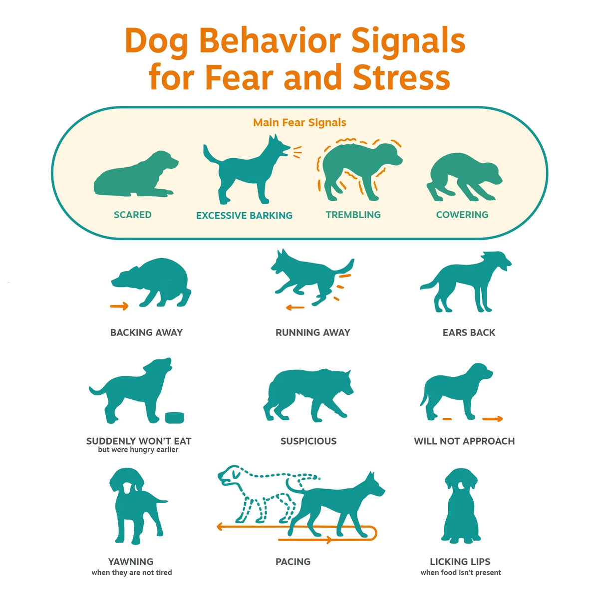 Pet Supplements product image 11