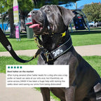 Dog Head Halter product image 11