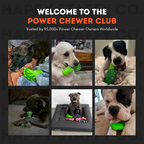 Dog Chew Toy product image 11