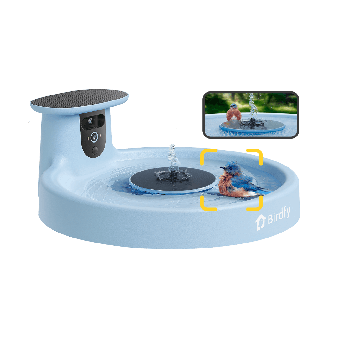 Solar Smart Bird Bath Camera product image 11