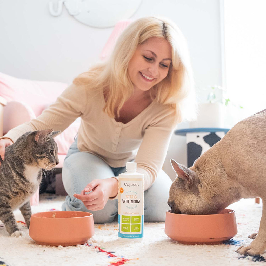 Pet Dental Water Additive product image 11