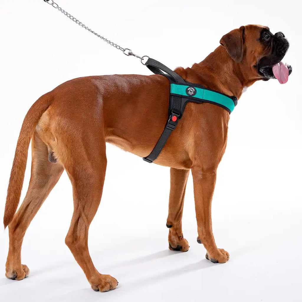 Dog Harness product image 11