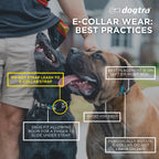 Remote Dog Training Collar product image 11