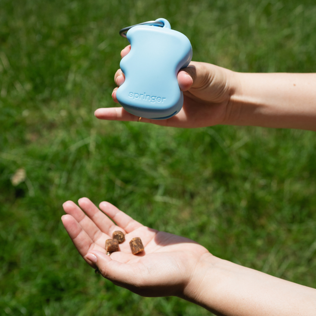 Dog Treat Dispenser product image 11