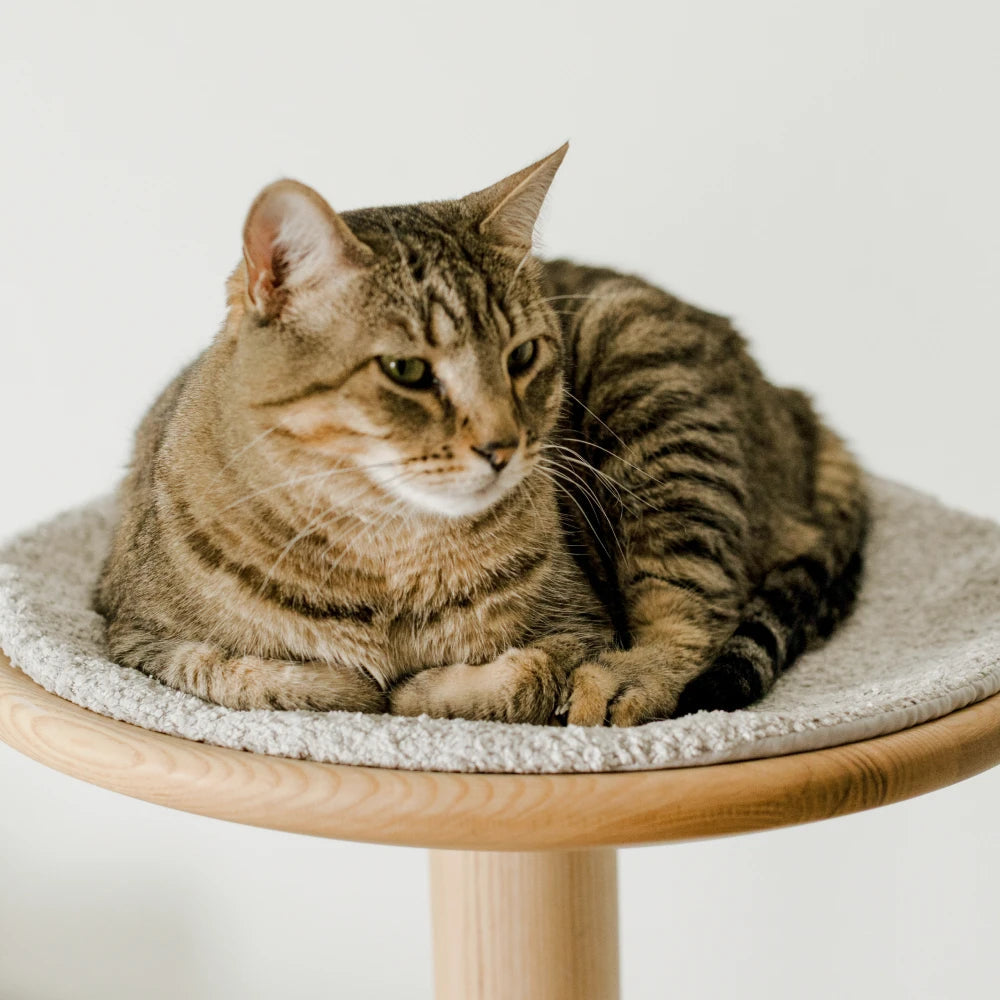 Cat Tree product image 11