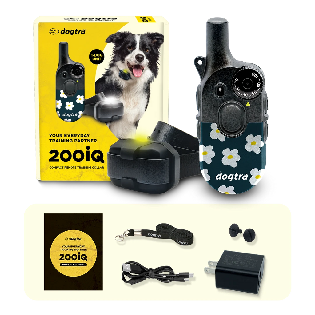Dog Training Collar product image 11