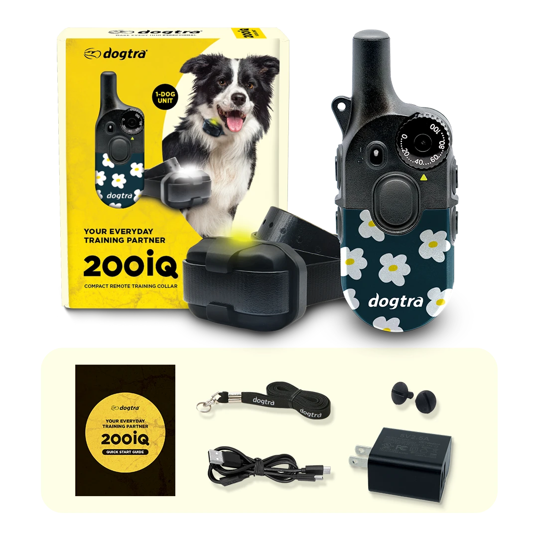 Dog Training Collar product image 11