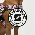 No-Pull Dog Harness and Leash Bundle product image 11