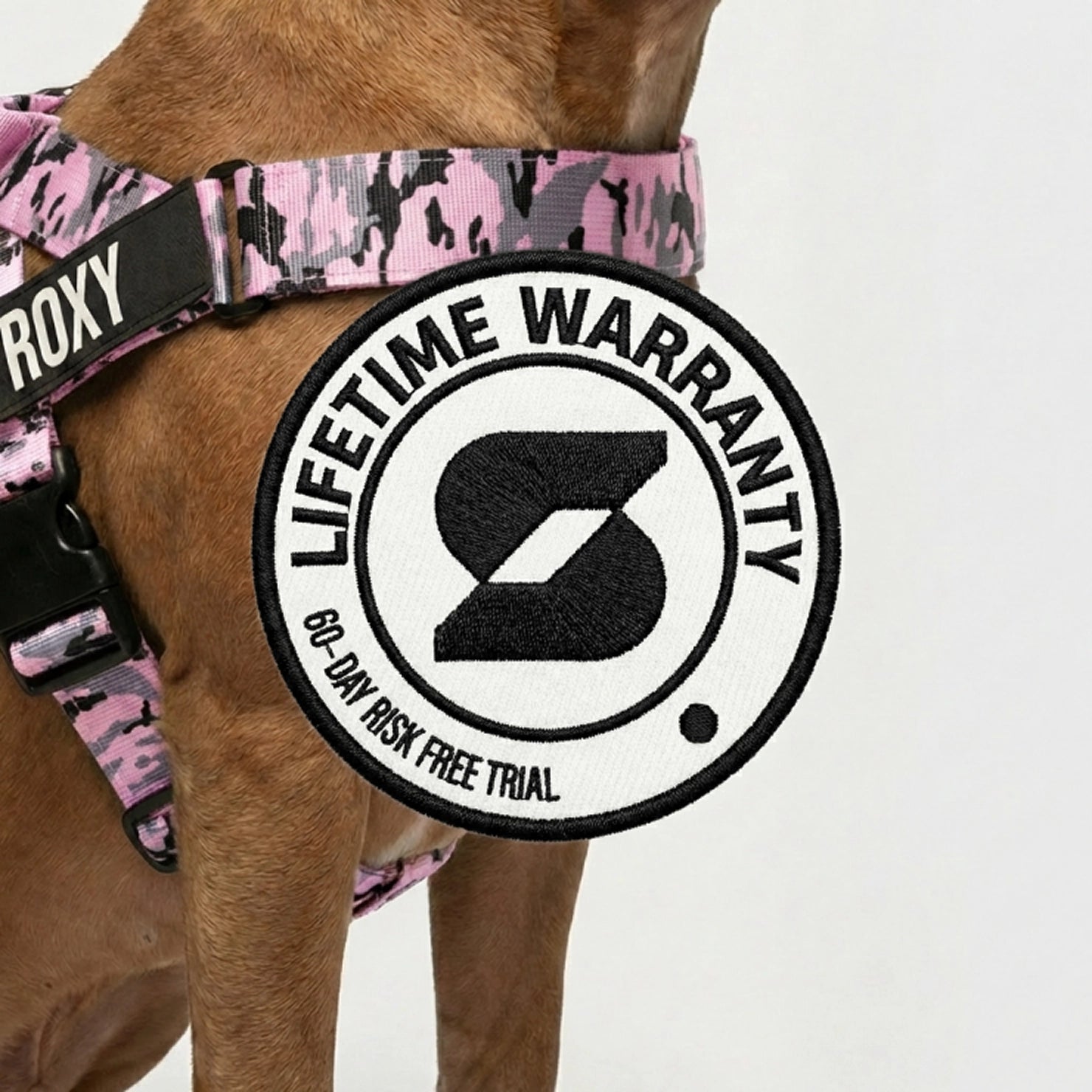 No-Pull Dog Harness and Leash Bundle product image 11