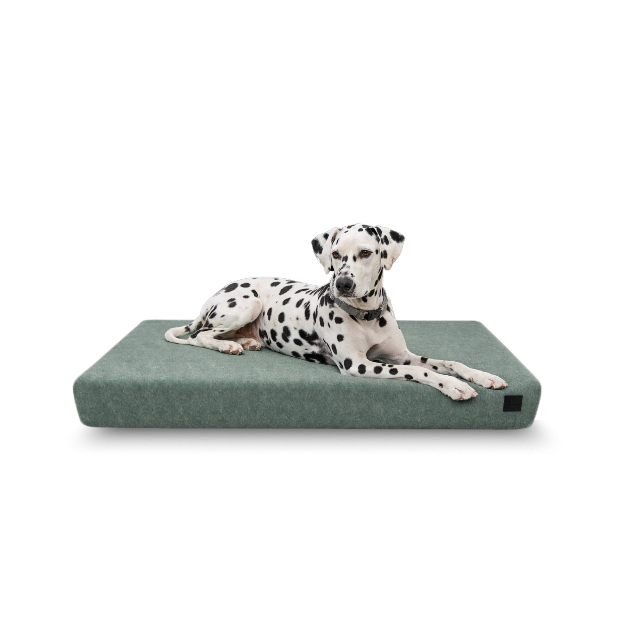 Orthopedic Dog Bed product image 11