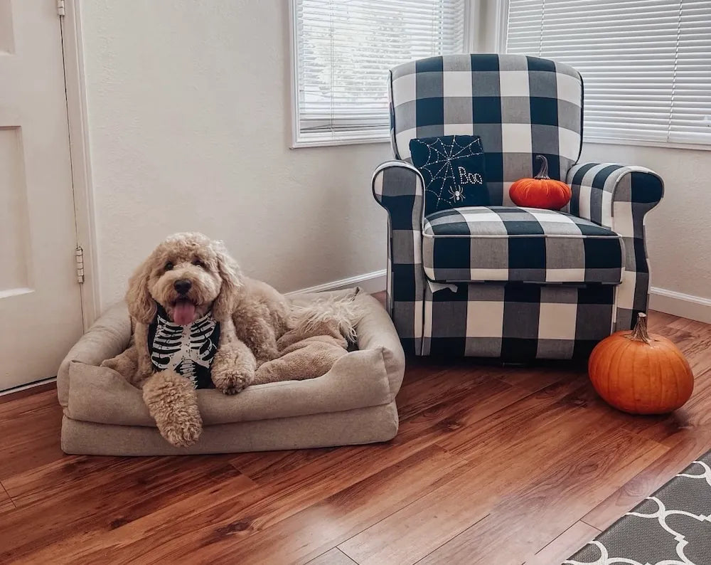 Orthopedic Dog Bed product image 11