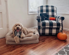 Orthopedic Dog Bed product image 11